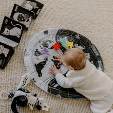 Load image into Gallery viewer, Little Wonder High Contrast Baby Gift Set