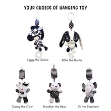 Load image into Gallery viewer, High Contrast Starter Pack