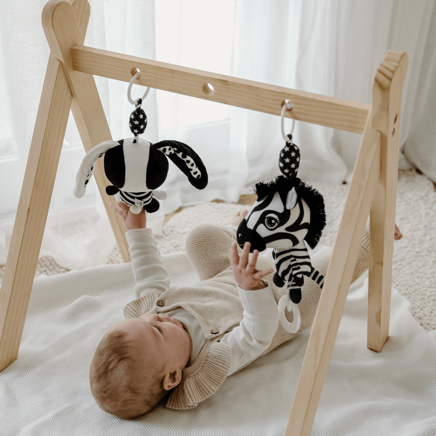 High Contrast Baby Hanging Toys from Baby Play Gym