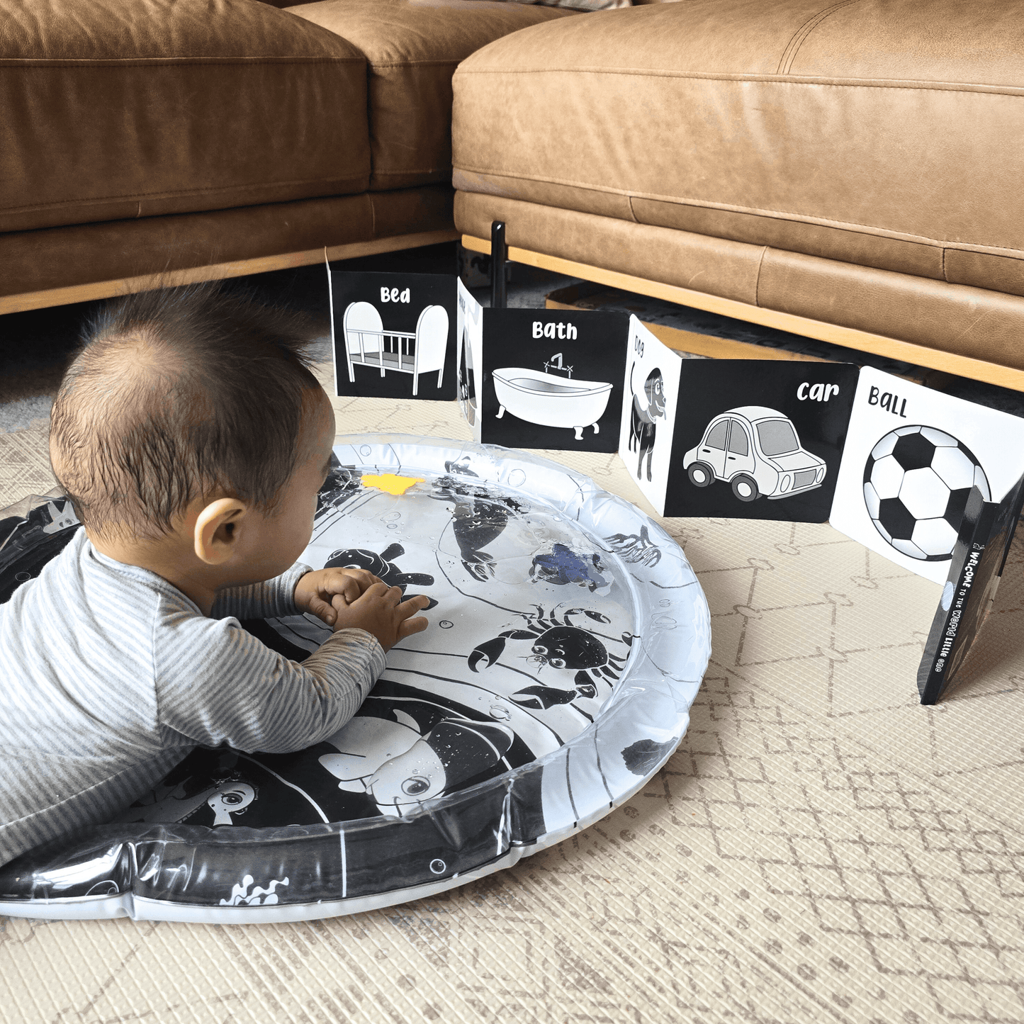 Tummy Time High Contrast Sensory Bundle