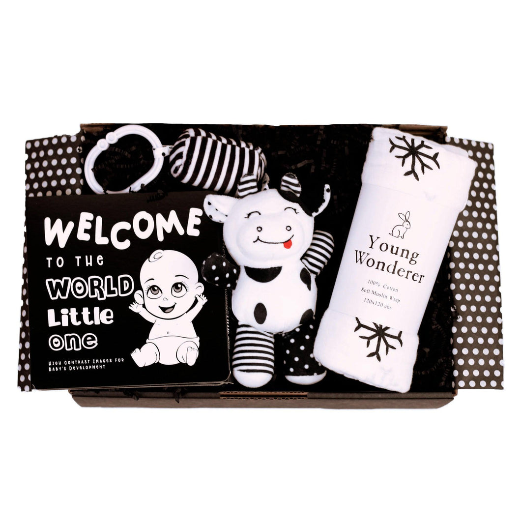 Gift Box - High Contrast Essentials Pack - Young Wonderer Baby Boutique