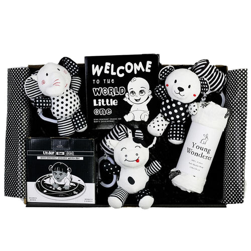 black and white baby gift, black and white baby gift box, high contrast baby gift box, high contrast baby gift, baby shower gift box, baby gifts, baby gift box, newborn gift box, newborn gift, high contrast gift, black and white gift, baby shower gift idea, new baby gift box, black and white baby boutique, black and white baby toys, high contrast baby toys, gender neutral baby gift box, gender neutral baby gift, unisex baby gift box, unisex baby gift, unisex baby shower gift,