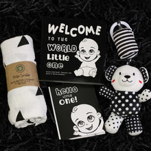 Load image into Gallery viewer, Gift Box - High Contrast Essentials Pack - Young Wonderer Baby Boutique
